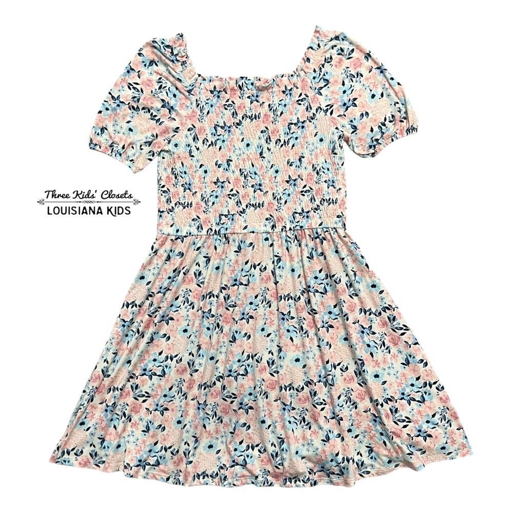 BCBG Girls L (14/16) Pink and Blue Floral Print Twirl Dress